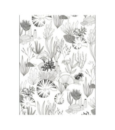 Affiche CASADECO Collection SEASIDE Sous L'ocean SEAS201679904 50x70cm