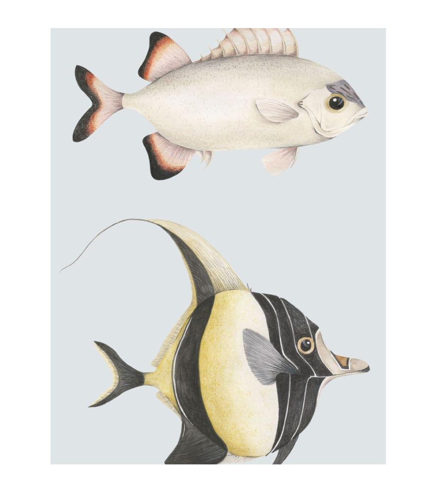 Affiche CASADECO Collection SEASIDE Stan Et Leon Les Poissons SEAS201686204 50x70cm Affiche CASADECO Collection SEASIDE Stan Et Leon Les Poissons SEAS201686204 50x70cm