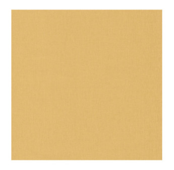 Papier Peint CASELIO Linen 2 LINN68522020