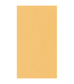 Papier Peint CASELIO Linen 2 LINN68523250