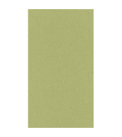 Papier Peint CASELIO Linen 2 LINN68527203