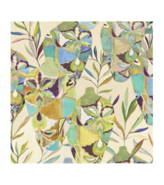 Panoramique MASUREEL Collection Walldesigns IV Amphor Madagascar DG4AMP1033-260 106x260cm