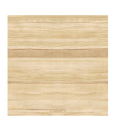Panoramique MASUREEL Collection Walldesigns IV Medite Linen  DG4MED1012-300 106x300cm