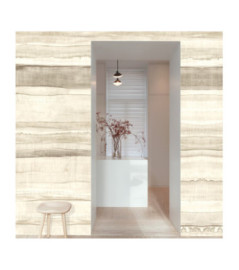 Panoramique MASUREEL Collection Walldesigns IV Medite Silver  DG4MED1022-260 106x260cm