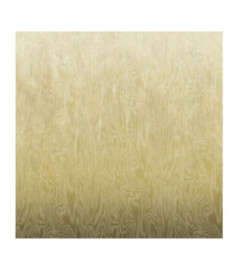 Panoramique MASUREEL Collection Walldesigns IV Moire Gold  DG4MOI1011-300 106x300cm