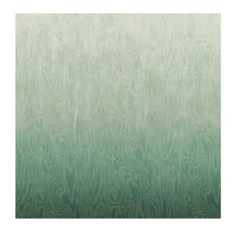 Panoramique MASUREEL Collection Walldesigns IV Moire Green  DG4MOI1021-260 106x260cm