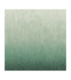 Panoramique MASUREEL Collection Walldesigns IV Moire Green  DG4MOI1022-300 106x300cm