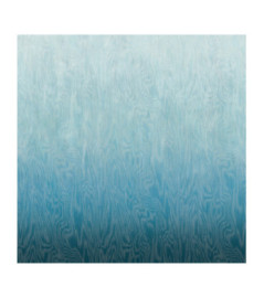Panoramique MASUREEL Collection Walldesigns IV Moire Blue  DG4MOI1032-300 106x300cm