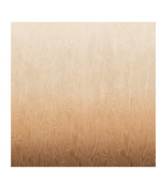 Panoramique MASUREEL Collection Walldesigns IV Moire Sahara  DG4MOI1041-260 106x260cm