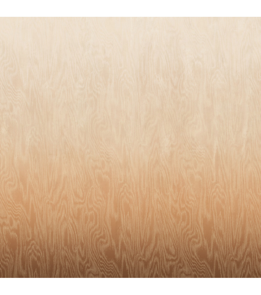 Panoramique MASUREEL Collection Walldesigns IV Moire Sahara DG4MOI1041-260 106x260cm Panoramique MASUREEL Collection Walldesigns IV Moire Sahara DG4MOI1041-260 106x260cm