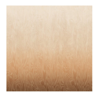 Panoramique MASUREEL Collection Walldesigns IV Moire Sahara  DG4MOI1041-300 106x300cm