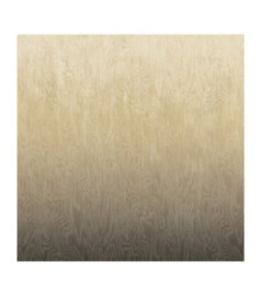 Panoramique MASUREEL Collection Walldesigns IV Moire Sand  DG4MOI1051-300 106x300cm