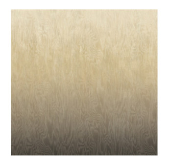 Panoramique MASUREEL Collection Walldesigns IV Moire Sand  DG4MOI1053-260 106x260cm