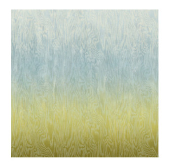 Panoramique MASUREEL Collection Walldesigns IV Moire Sea  DG4MOI1071-300 106x300cm