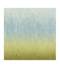 Panoramique MASUREEL Collection Walldesigns IV Moire Sea  DG4MOI1073-260 106x260cm