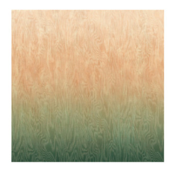 Panoramique MASUREEL Collection Walldesigns IV Moire River  DG4MOI1081-300 106x300cm