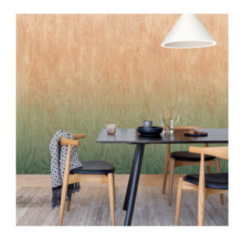 Panoramique MASUREEL Collection Walldesigns IV Moire River  DG4MOI1081-300 106x300cm