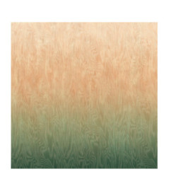 Panoramique MASUREEL Collection Walldesigns IV Moire River  DG4MOI1082-260 106x260cm