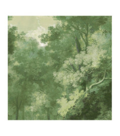 Panoramique MASUREEL Collection Walldesigns IV Wood Green  DG4WOO1023-260 106x260cm