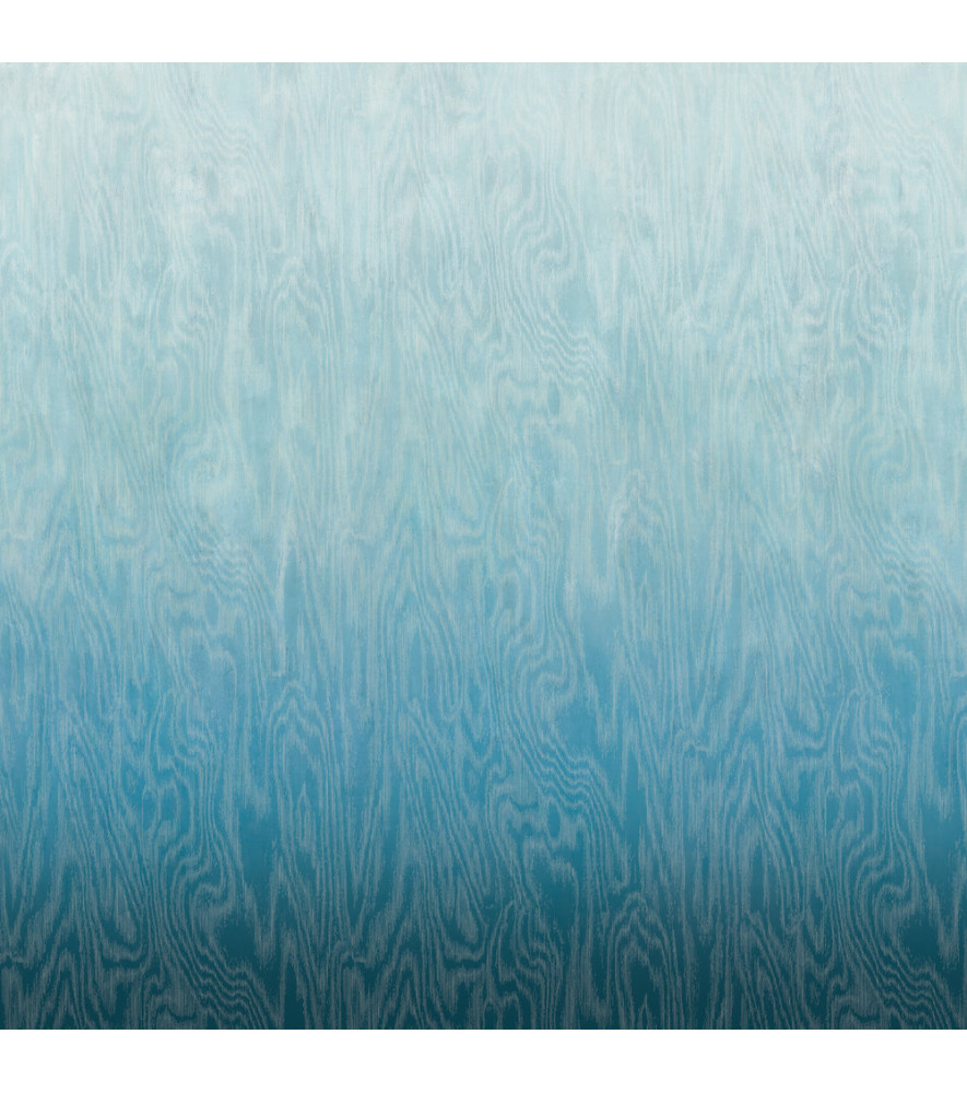 Panoramique MASUREEL Wall Designs IV DG4MOI1032-300 Panoramique MASUREEL Wall Designs IV DG4MOI1032-300