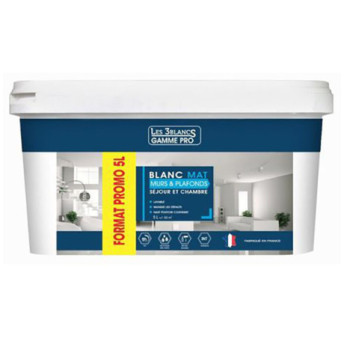 Peinture Murs & Plafonds LES 3 BLANCS monocouche mat blanc 5L