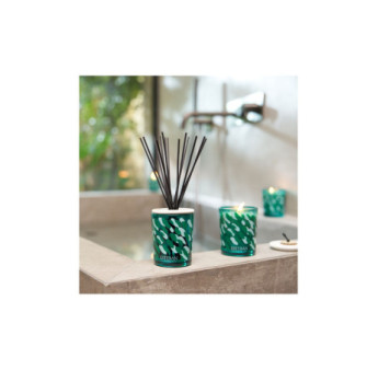 ESTEBAN Bouquet parfumé décoratif rechargeable Eau d'AMAZONIE 100ml