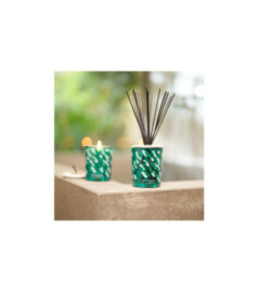 ESTEBAN Bouquet parfumé décoratif rechargeable Eau d'AMAZONIE 100ml