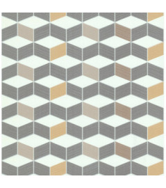 DELZONGLE Prima  6034