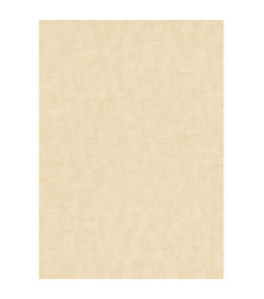 DELZONGLE Prima  6050