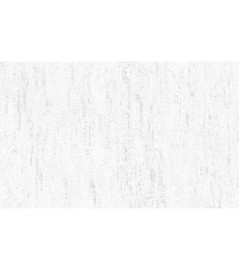 DELZONGLE Prima  6070