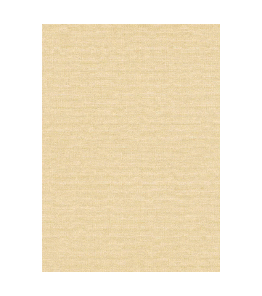 Papier peint stock DELZONGLE Collection PRIMA 2025 référence 6004 Papier peint stock DELZONGLE Collection PRIMA 2025 référence 6004