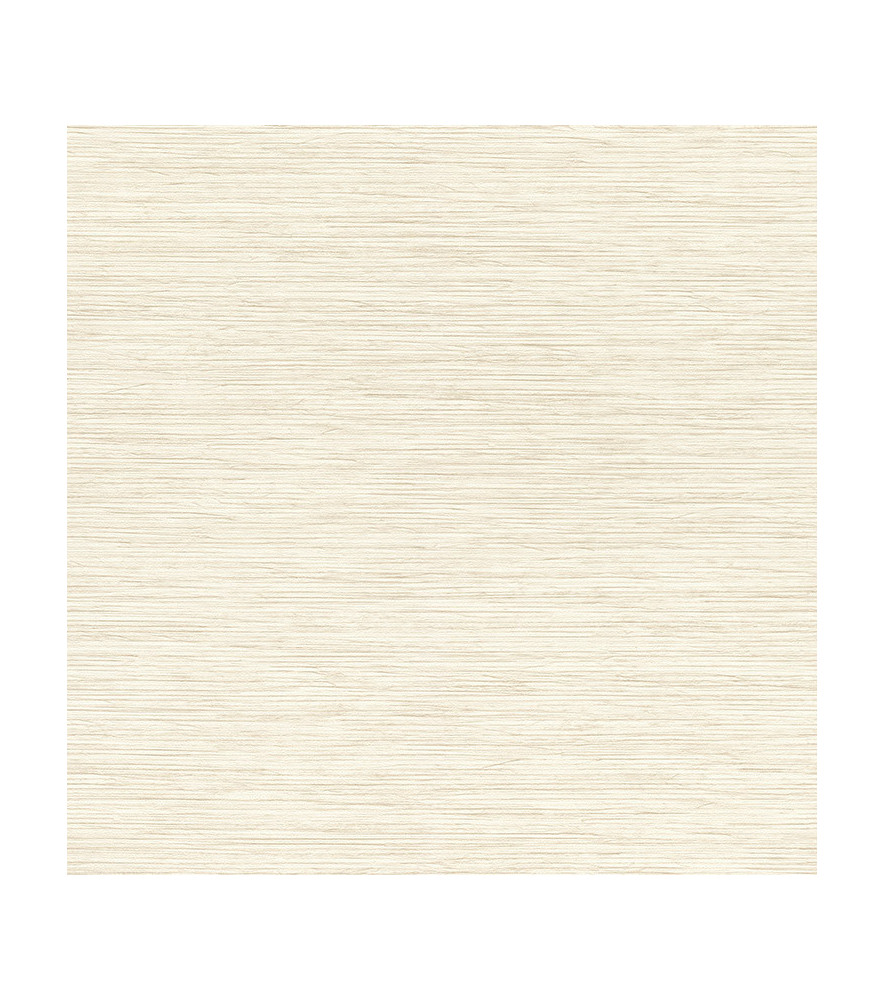 Papier peint stock DELZONGLE Collection PRIMA 2025 référence 6007 Papier peint stock DELZONGLE Collection PRIMA 2025 référence 6007