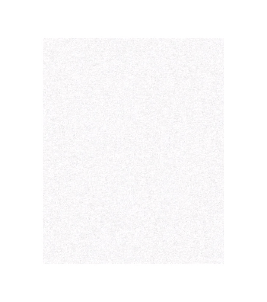 Papier peint stock DELZONGLE Collection PRIMA 2025 référence 6020 Papier peint stock DELZONGLE Collection PRIMA 2025 référence 6020