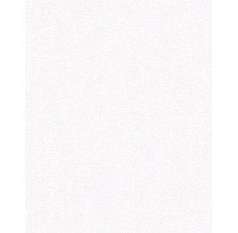 Papier peint stock DELZONGLE Collection PRIMA 2025 référence 6020