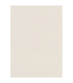 Papier peint stock DELZONGLE Collection PRIMA 2025 référence 6029