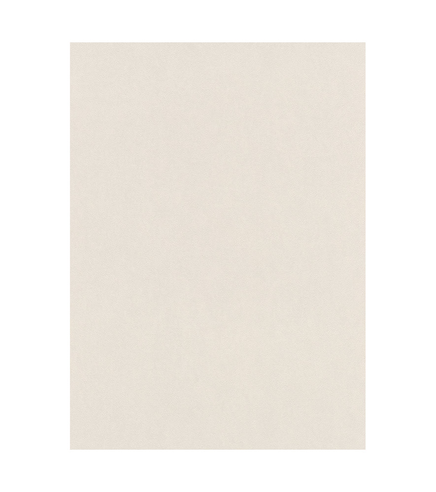 Papier peint stock DELZONGLE Collection PRIMA 2025 référence 6029 Papier peint stock DELZONGLE Collection PRIMA 2025 référence 6029