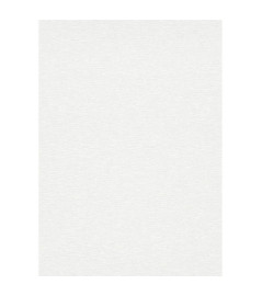 Papier peint stock DELZONGLE Collection PRIMA 2025 référence 6035
