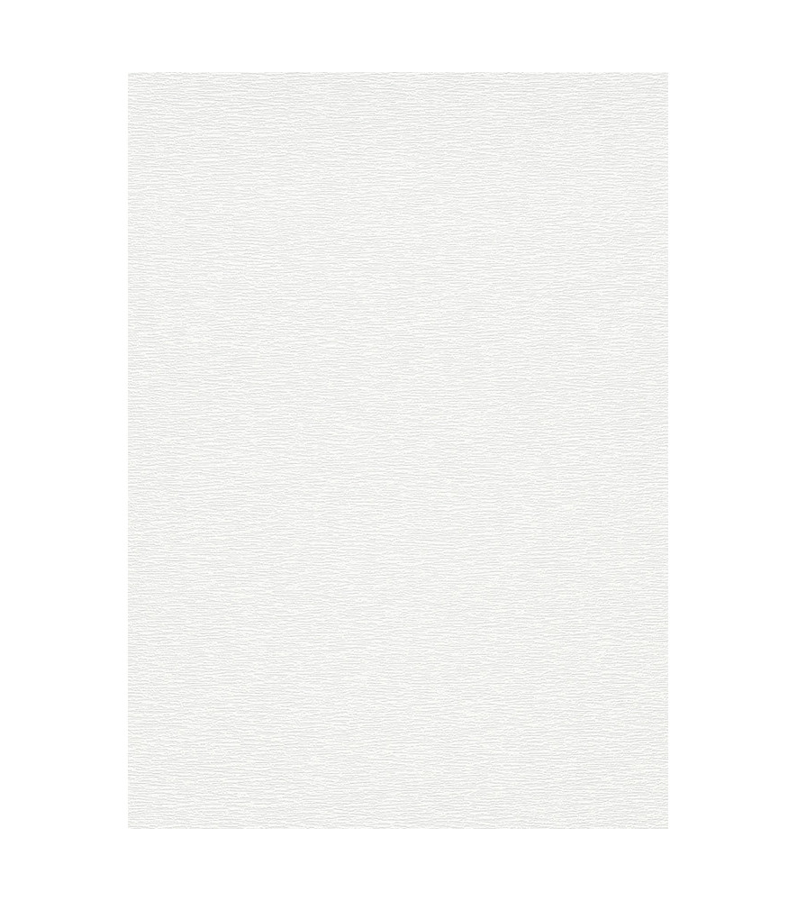 Papier peint stock DELZONGLE Collection PRIMA 2025 référence 6035