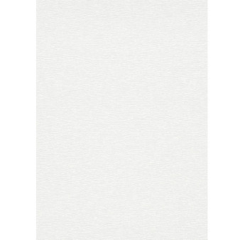 Papier peint stock DELZONGLE Collection PRIMA 2025 référence 6035