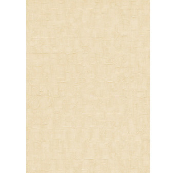 Papier peint stock DELZONGLE Collection PRIMA 2025 référence 6050