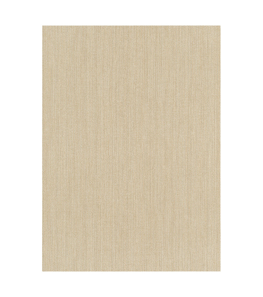 Papier peint stock DELZONGLE Collection PRIMA 2025 référence 6053