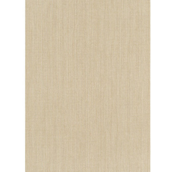 Papier peint stock DELZONGLE Collection PRIMA 2025 référence 6053
