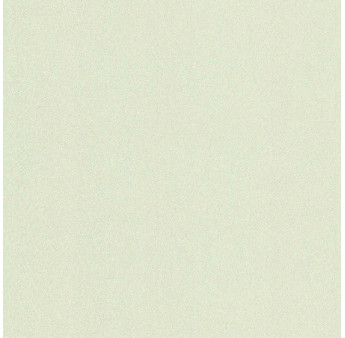 Papier peint stock DELZONGLE Collection PRIMA 2025 référence 6057