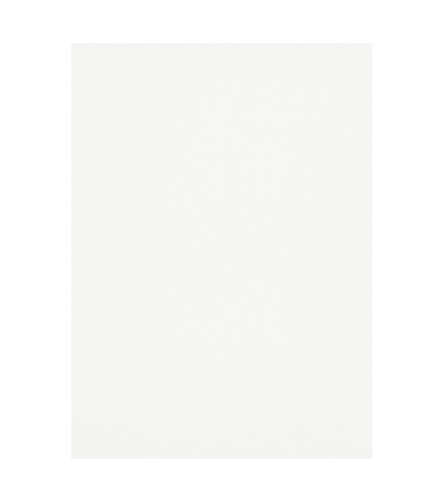 Papier peint stock DELZONGLE Collection PRIMA 2025 référence 6066