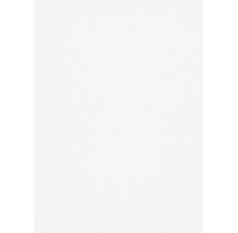 Papier peint stock DELZONGLE Collection PRIMA 2025 référence 6066