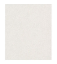 Papier peint stock DELZONGLE Collection PRIMA 2025 référence 6067