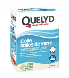 Colle QUELYD TDV à peindre 500g