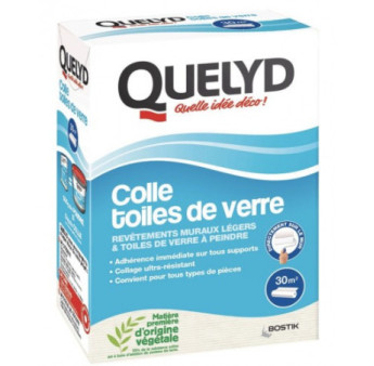 Colle QUELYD TDV à peindre 500g