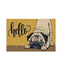 Tapis brosse coco 15mm Hello Chien 40x60cm