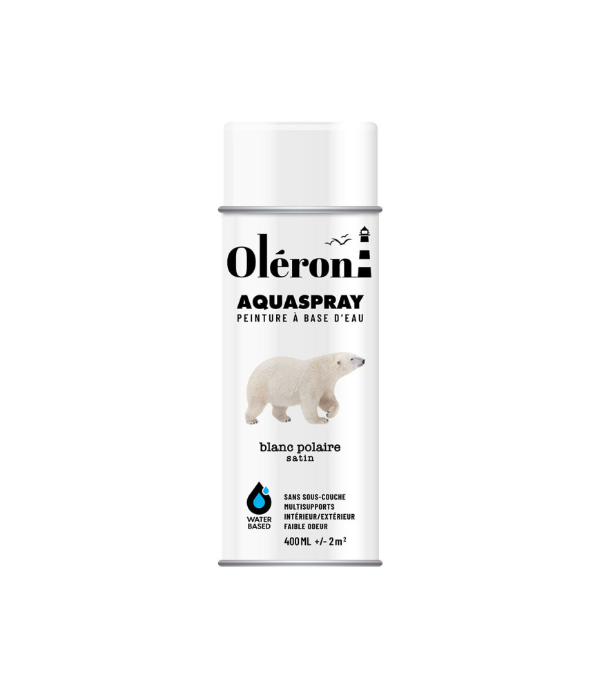 Aérosol TECHNIMA Aquaspray Oléron blanc polaire satiné 400ml Aérosol TECHNIMA Aquaspray Oléron blanc polaire satiné 400ml